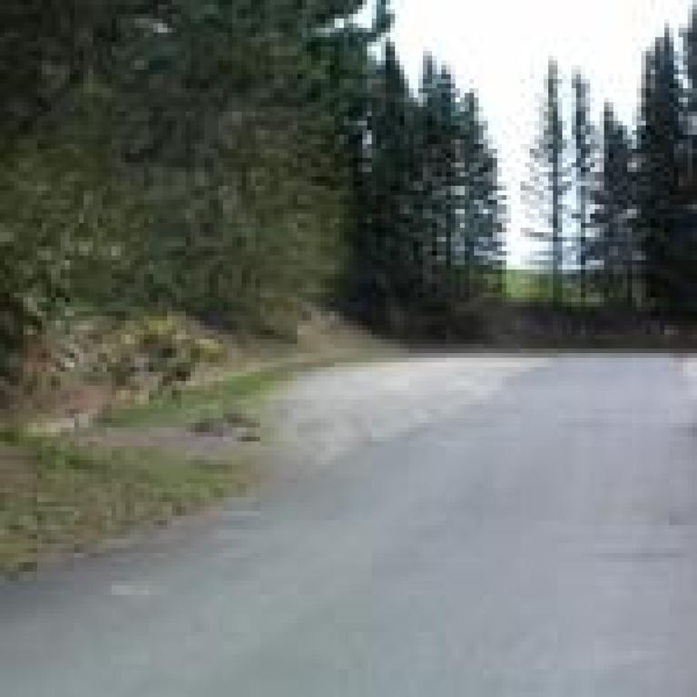 Buhberg Baude Hotel Bad Lauterberg Zewnętrze zdjęcie